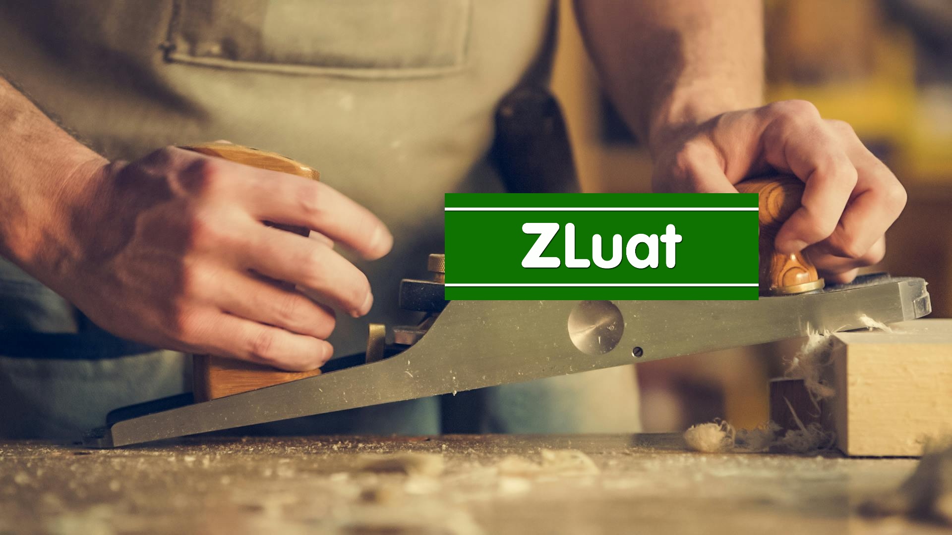 Luật sư yêu cầu cấp Giấy phép hành nghề dành riêng cho lao động nhập cư<br> - Ảnh 2